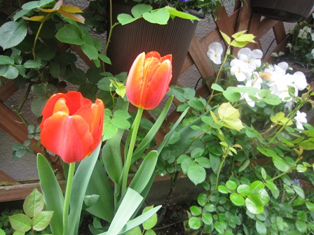 c0202870_9281852.jpg