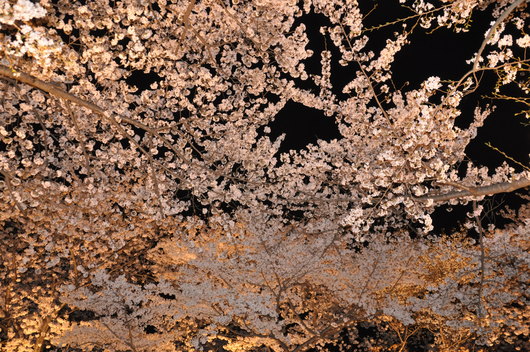 f0029271_2361219.jpg