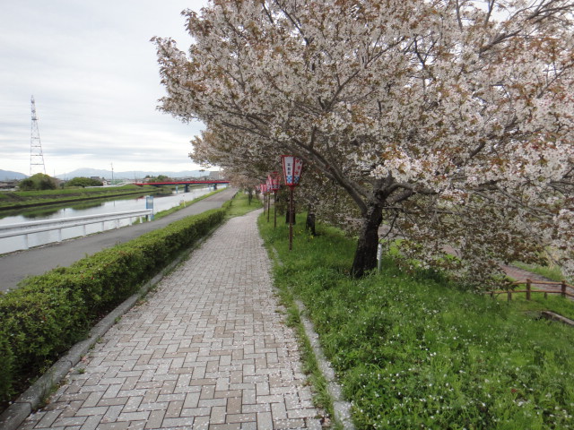 f0137275_4251060.jpg