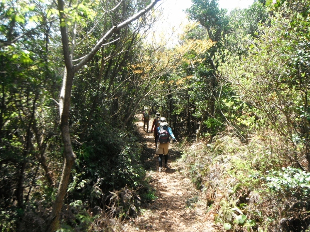 f0082181_18192513.jpg