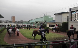 f0069890_4172621.jpg