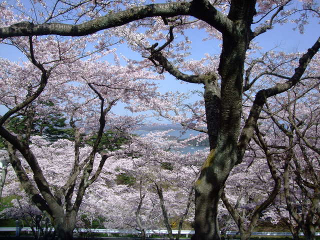 f0100593_1858578.jpg