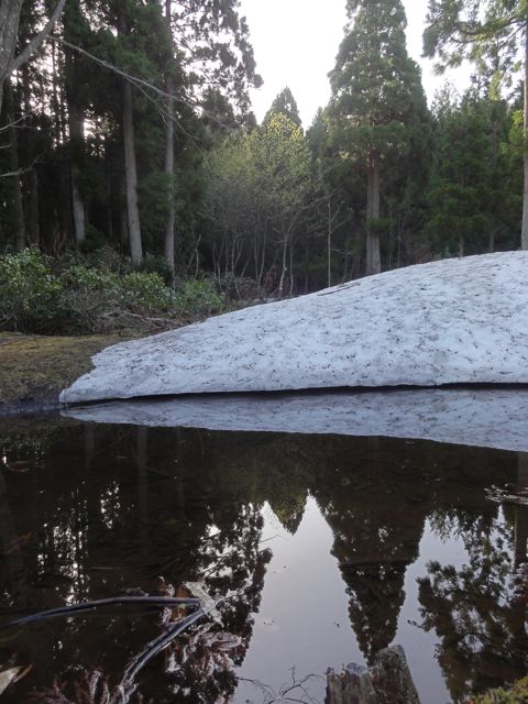 a0061599_6412792.jpg