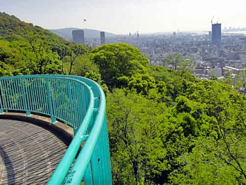 b0108100_19404687.jpg