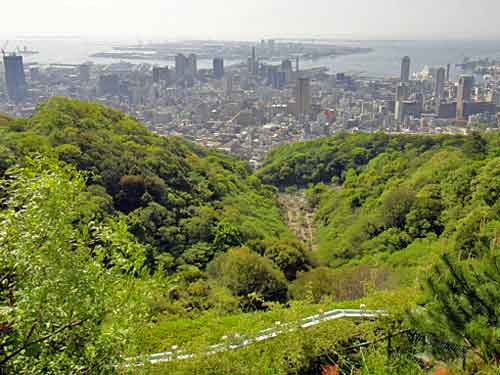 b0108100_19405680.jpg