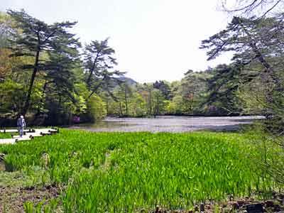b0108100_194122100.jpg