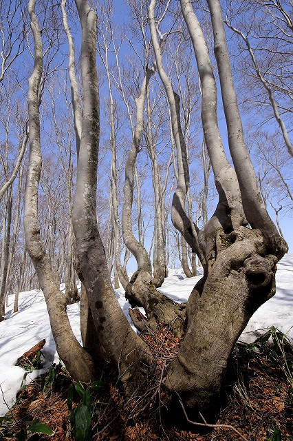 e0137200_22142794.jpg