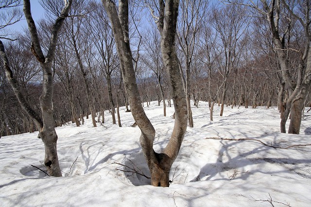 e0137200_22144824.jpg