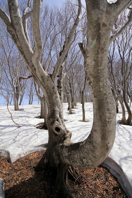 e0137200_22145953.jpg
