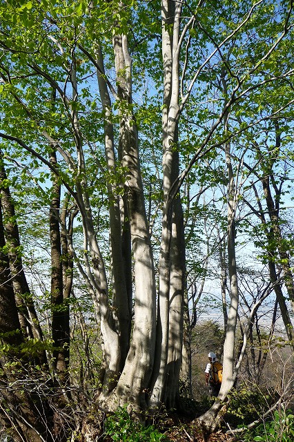 e0137200_22171551.jpg