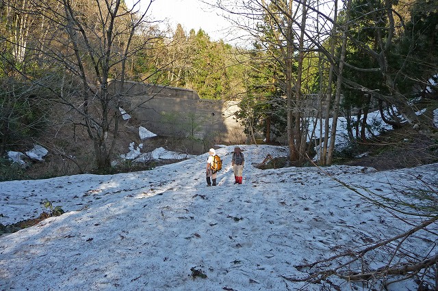 e0137200_22173869.jpg