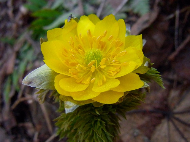 f0157901_19495060.jpg