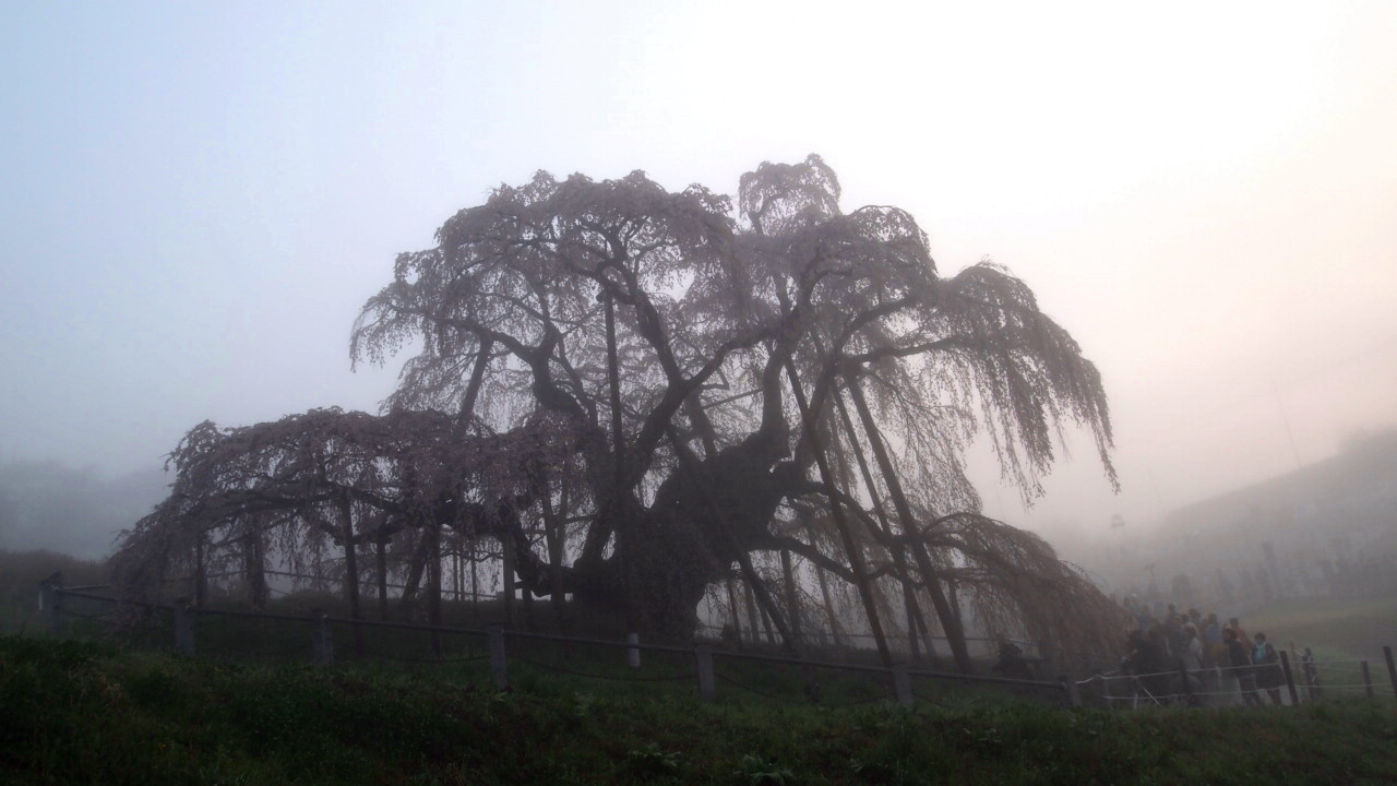 f0236201_6312071.jpg