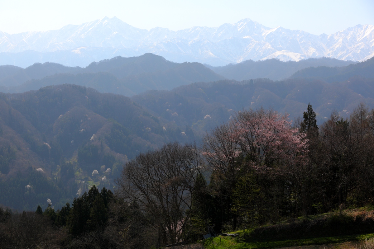 a0155104_2213683.jpg