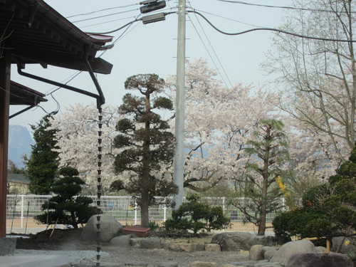 b0232804_19145014.jpg