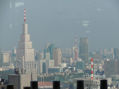 c0117007_2144432.jpg