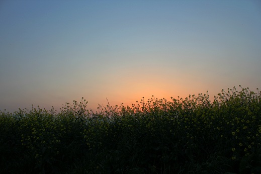 e0123808_1264581.jpg