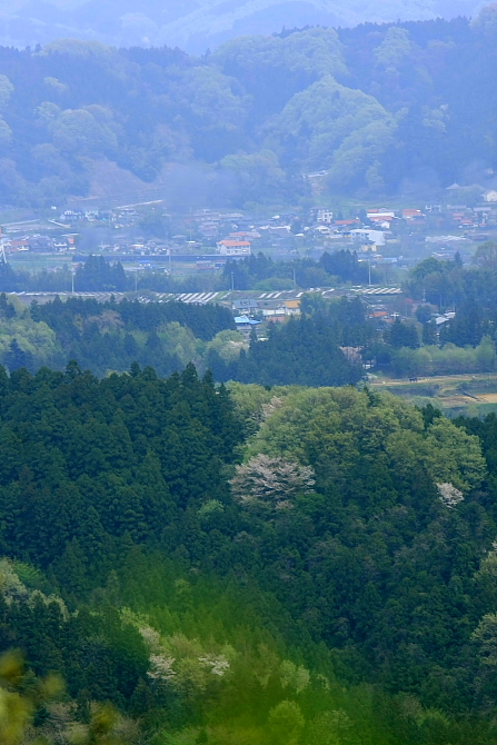 b0190710_2142675.jpg