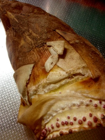 f0043911_18372555.jpg