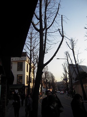 f0199511_16544225.jpg