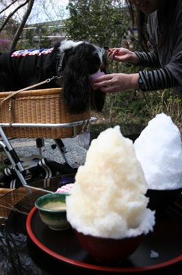 b0072515_1282119.jpg