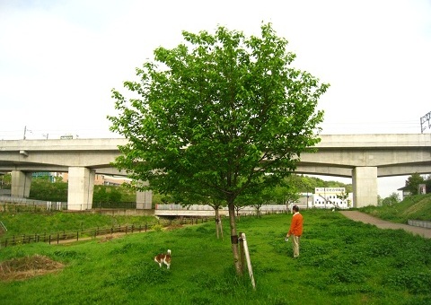c0084117_20252293.jpg