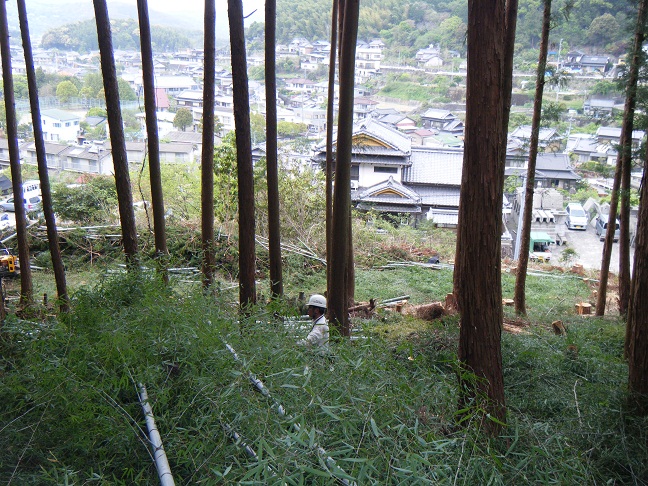 e0138321_1571933.jpg
