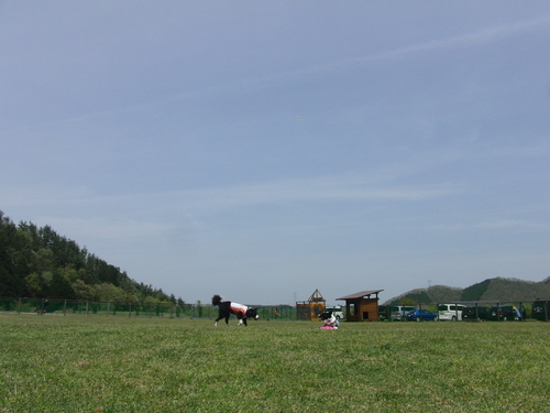 e0179321_21393188.jpg