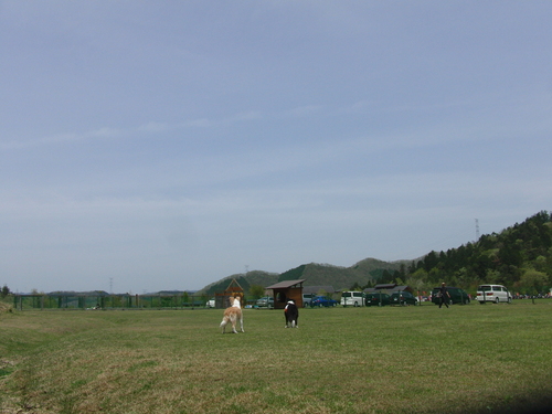 e0179321_21394551.jpg