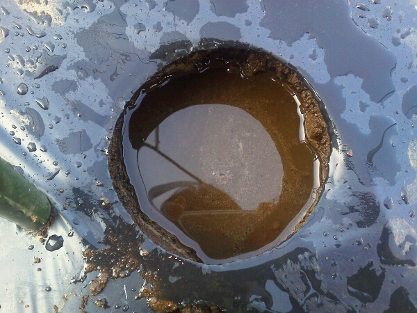 c0246826_7563336.jpg