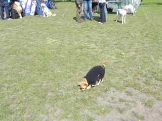 c0198427_3263379.jpg