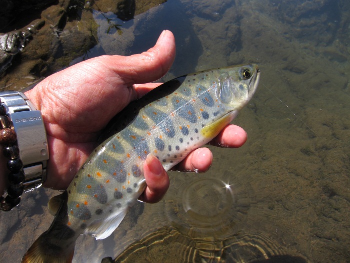 c0090530_66183.jpg