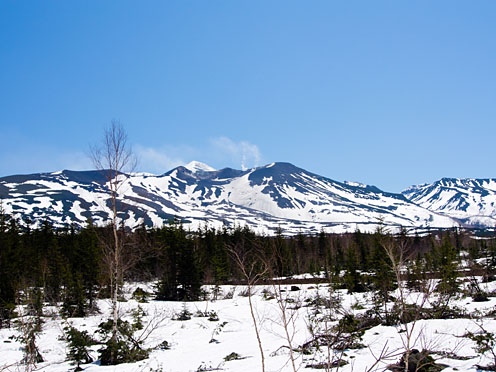 e0025030_923517.jpg