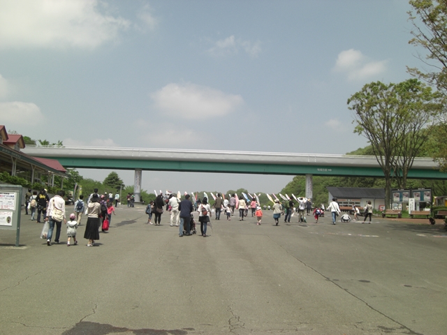 d0005632_2229969.jpg