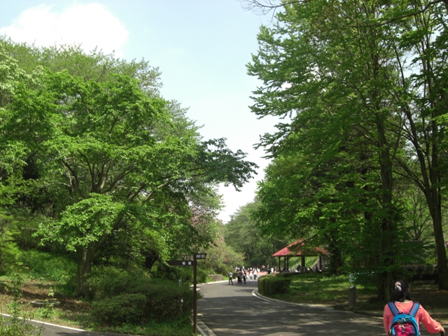 d0005632_22375337.jpg