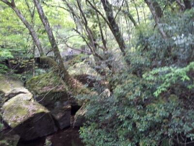 f0202633_1522776.jpg
