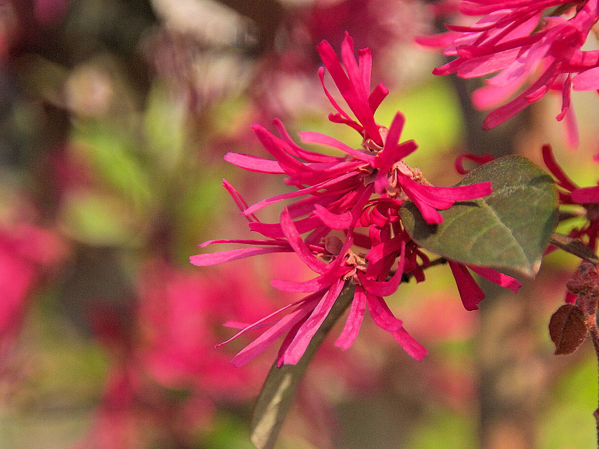 d0213034_2358015.jpg