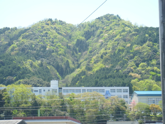 b0246036_6172679.jpg