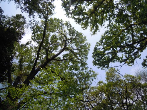 e0256436_23274735.jpg