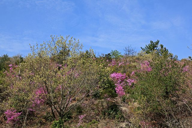 a0242438_19262650.jpg