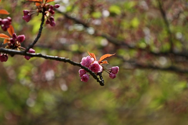 a0242438_19274940.jpg