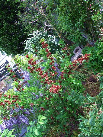 b0089338_2326833.jpg