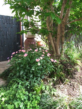 b0089338_23273827.jpg