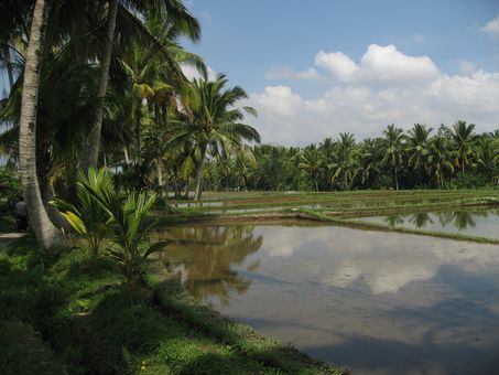 c0148238_1252368.jpg