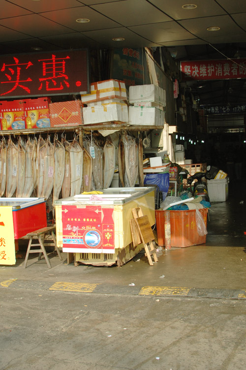 a0023740_22404812.jpg