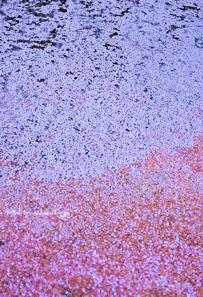 f0045844_19491893.jpg