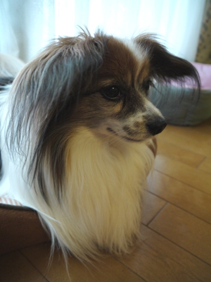 e0100046_21562531.jpg