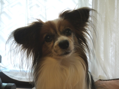e0100046_21573459.jpg