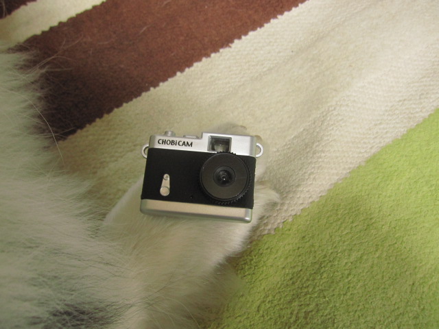 b0097747_10412710.jpg