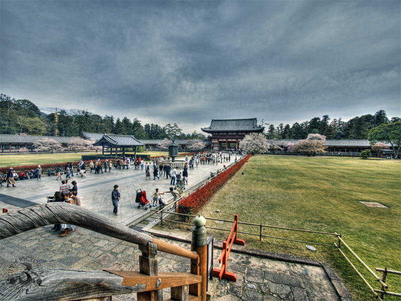 b0135347_04553.jpg
